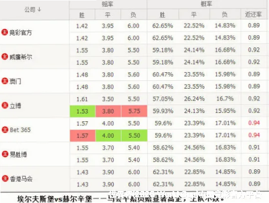 高效使用与风控提示
